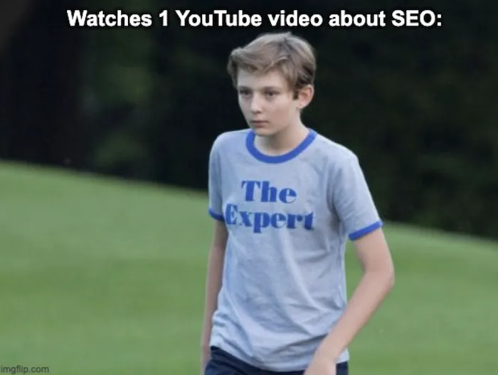 SEO Expert Definition