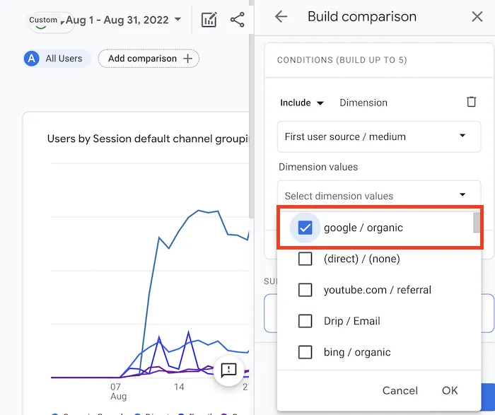 Google Analytics organic traffic filter