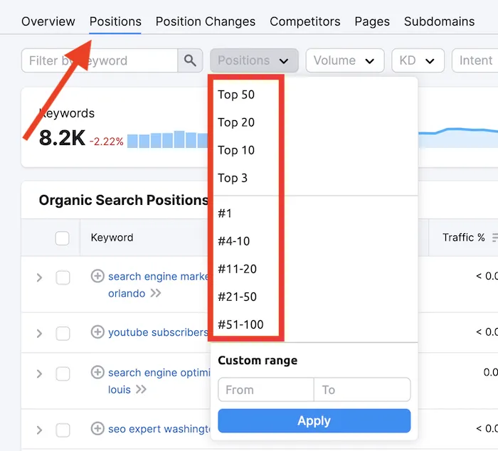 SEO keyword rankings with position filters