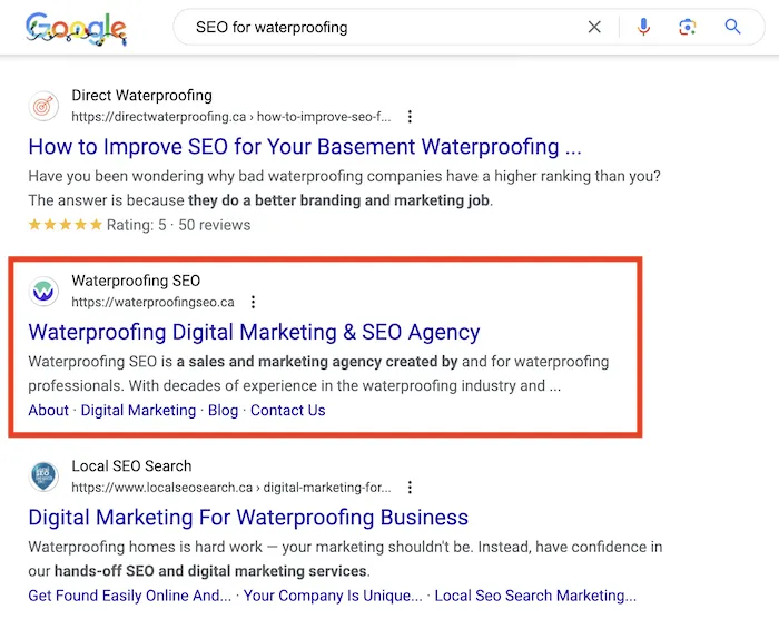 Niche SEO Agency Example